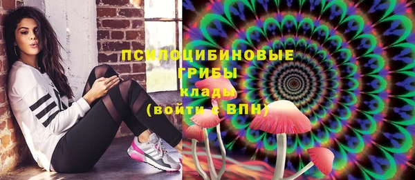 дживик Белокуриха