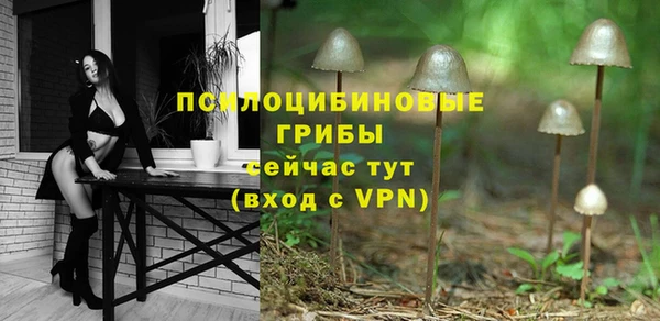 дживик Белокуриха