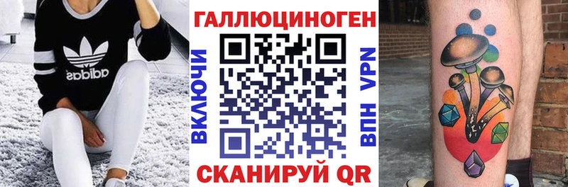 наркота Данилов Псилоцибиновые грибы Psilocybe