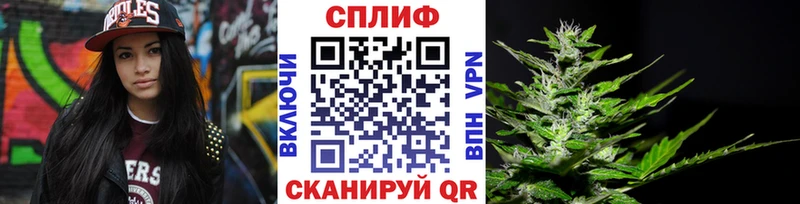 omg ONION  Данилов  Конопля план 